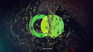 ALAY - Vertigo // Area Verde