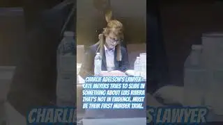 Судья Стивен Эверетт мягко отчитывает адвоката Мейерса на конференции по обвинению в Адельсоне 11...