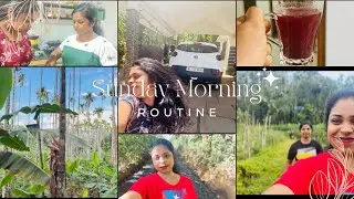 എന്റെ നാട്ടിൻപുറം|| A Day In My Life||Mallu Beauty Beats ##dayinmylife #minivlog #travel #malayalam 