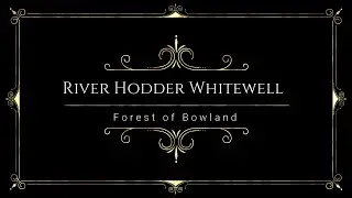 Cinematic 4K  The For River Hodder Forest of Bowland