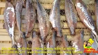 C&aacute; Nục Một Nắng | B&aacute;n Bu&ocirc;n B&aacute;n lẻ c&aacute; nục một nắng