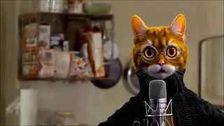 You Talkin' to ME-OW?