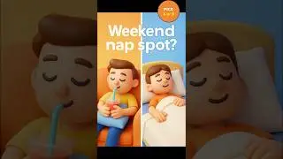 Weekend Nap