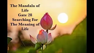 The Mandala of Life/Episode 49/ Gate 28/A Search for Meaning of Life /the Power of the Human Spirit