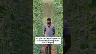 Polyhouse success story - Kerala #farmingtechniques #polyhouse #greenhousefarming