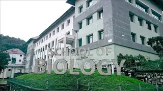SCHOOL OF BIOLOGY