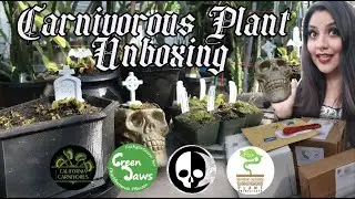 Carnivorous Plant Mail Unboxing