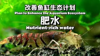 Plan to Enhance the Aquarium Ecosystem, Nutrient-rich water