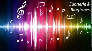 Airport Sound SMS