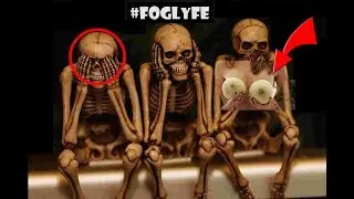 #FOGLyFE - episode 48 - Holden Caufield