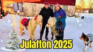 Så var vår julafton 🎄🐴 | Tur med miniatyrhästarna på gården