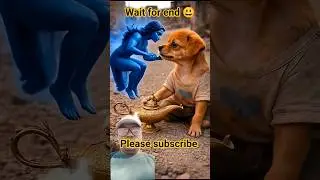 High Dream but no money 😭 #cute #cartoon#funny #animation#animahal #funnycute#funniestvideo #randoms