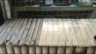 Expat in the Philippines Live | Bamboo Craft at the Farm And Getting Some Veggie Seeds Planted Day 2