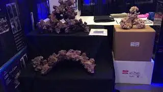 Reefsmart 2019
