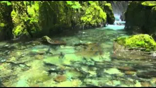Wilderness: The Importance of Clean Water