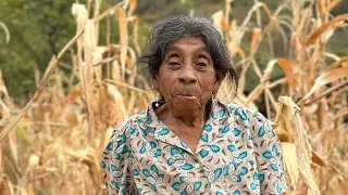Doña Lazara se lleva sus gatos 🐱 por fin 