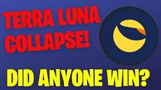 WAS THERE ANY WINNERS TO THE TERRA LUNA COLLAPSE? 