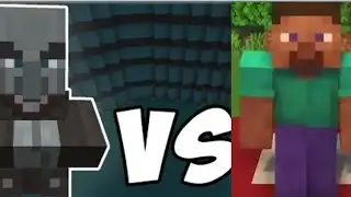 Minecraft PVP steep vs vindicator