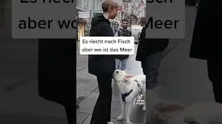Militante Veganerin stinkt #militanteveganerin #lustig #fail #hund #meer #tiktok #lachkick