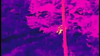 Armasight prometheus 336 3-12x42