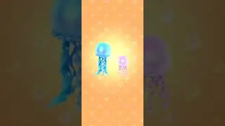 Animal Crossing Pocket Camp #TikTok #Animalcrossing #ACPC #ACNH #Shorts