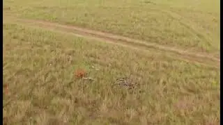 FINCA EN VENTA EN VICHADA FINANCIACION A 7 A&Ntilde;OS DISPONIBLE PARTE 3