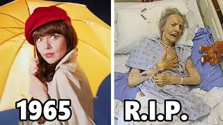 Get Smart (1965&ndash;1970): How the 35 Cast Members Tragically Died?