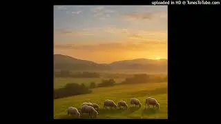 오라, 주님께 노래하자