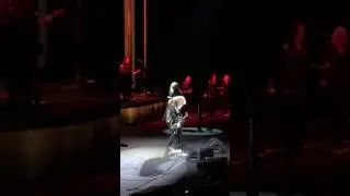 Stevie Nicks ~ 24 Karat Gold Tour