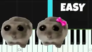 Sad Crying Hamster Violin Meme -  EASY Piano Tutorial