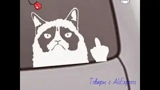 The sticker on car