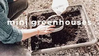 DIY Water Jug Greenhouse // Winter Seed Sowing Project