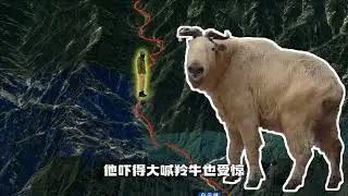 一名男子在网上看过“猛蛇过江”的鳌太徒步视频后觉得没有什么难度，便在11月11号一个人挑战鳌太线（二）