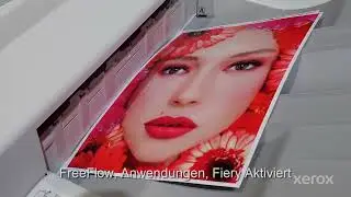 XEROX Primelink C9265 - Light-Production-Drucker mit erstklassigem Farbdruck