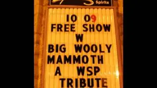 Big Wooly Mammoth @ the pourhouse set 2 012109