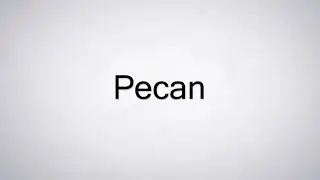 How to Pronounce Pecan
