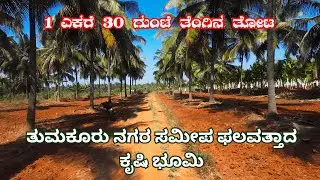 Tumkur City Near 1 Acre 30 Gunta Fertile Farm Land | ಅತ್ಯುತ್ತಮ ಹೂಡಿಕೆ ಅವಕಾಶ