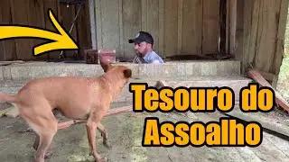 Casa assustadora escondida tesouro no assoalho!