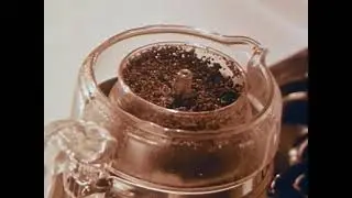 This Is Coffee (1961) &mdash; Vintage Short Film | Public Domain Educational 