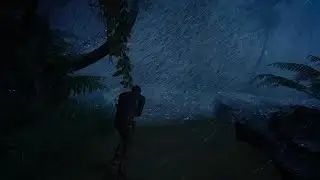 Uncharted: Legacy of Thieves Collection What's with this rain effect?