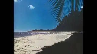 [free] bladee + in53ct type beat (beachday) (prod. ethan larsen)