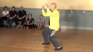 Self Nature Tai Chi Master Lin Feng Chao  Selfnature Tai Chi