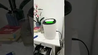 Saved My Closet from Mold with This Dehumidifier