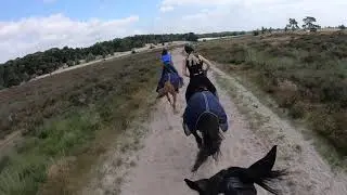 Buitenrit Loonse en Drunense duinen 23 juli 2021