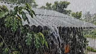 Super Heavy Rain 🌧️ | A Deep Comforting Sound for Better Quality Sleep