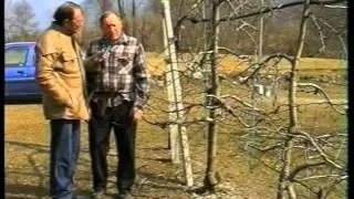 PIERI PODRECCA  -  POTATURE E INNESTI