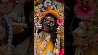 10 जनवरी 2026 #2026#krishna#shortsfeed#radheshyam#shortvideo #radha#vrindavan#love#merebankeybihari