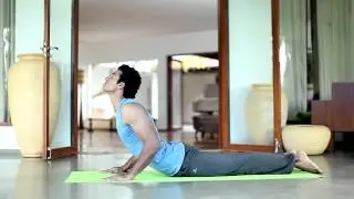 Tetley Green Tea: Yoga For Immunity