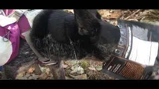 Backpackers Meal Review, Peak Refuel Outdoor Meal, Firebox Nano Stove