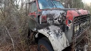 Нашёл этот заброшенный 56-летний GMC, гниющий насквозь.